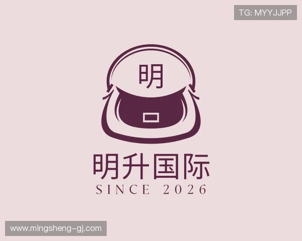 了解明升国际